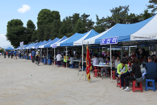 각 마을단위로 참석한 대소면민체육대회.