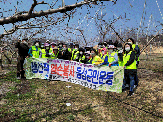 음성군여성단체협의회가 일손봉사를 실시했다.