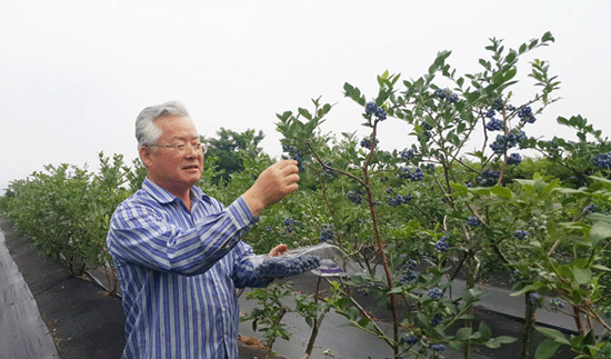 곽태규 닥터블루베리 농장 대표.