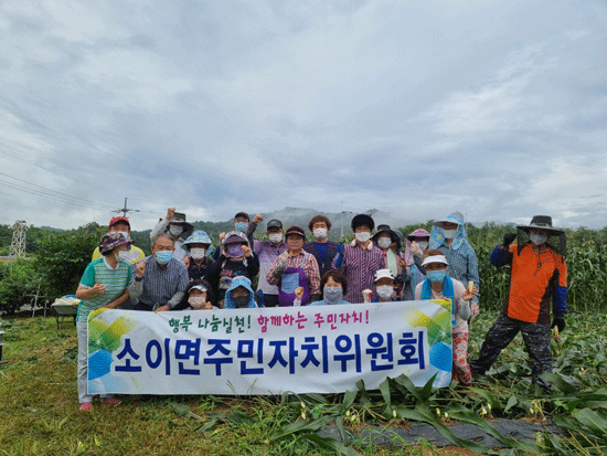 소이면 주민자치위원회가 옥수수 수확으로 온정 나눔을 실천했다.