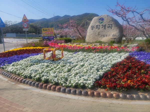 음성군이 녹색도시 만들기에 나섰다.