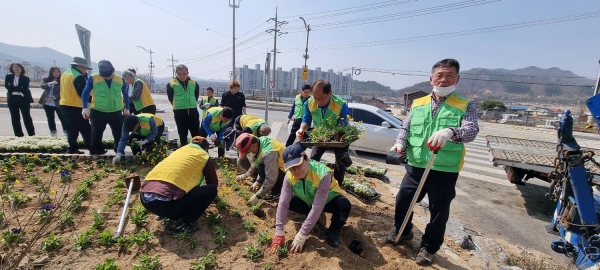 상록봉사단이 꽃묘를 심고 있다.