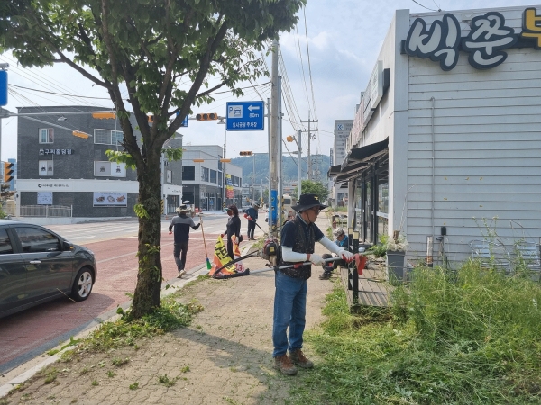 정화활동을 하고 있는 금왕읍 이장들.