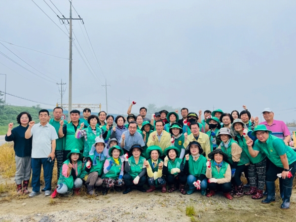 삼성면새마을협의회.부녀회가 26일 사랑의 배추 심기 행사를 가졌다.